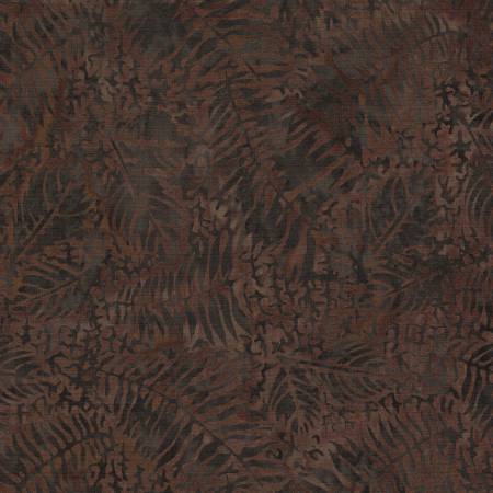 Earth Essence - Fossil Spiral-Brown Roast Earth Essence