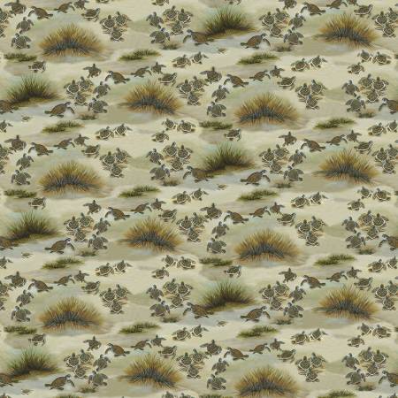 Turtle March - 1144 31