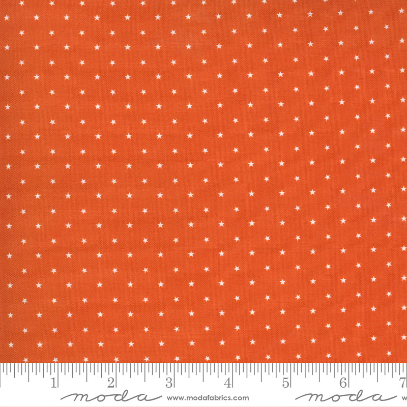 Midnight Magic 2 Pumpkin