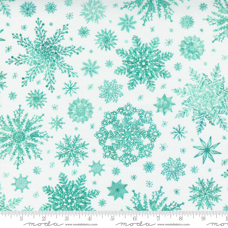 White - Starflower Christmas