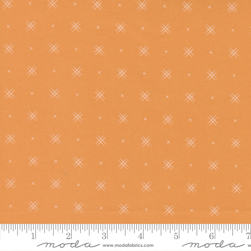 Beyond Bella Amelia Apricot