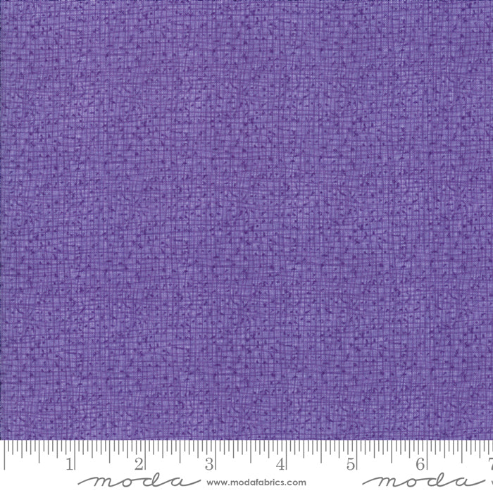 Thatched - Aster