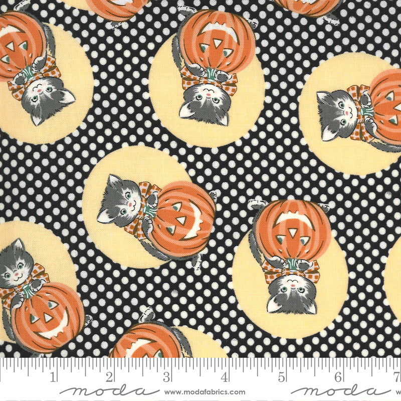 Kitty Corn Midnight 31171 17
