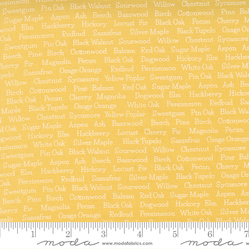 Cozy Up Sunshine by Moda