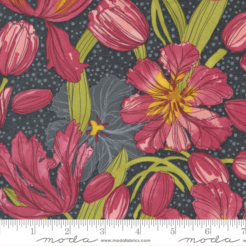 Tulip Tango - Shadow