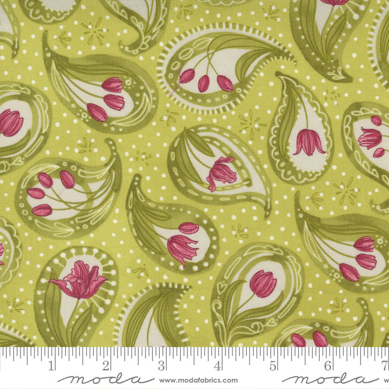 Tulip Tango - Chartreuse