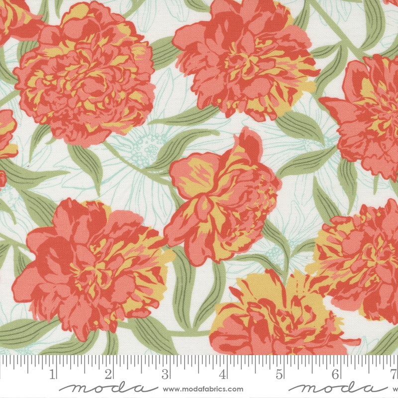 Garden Society Porcelain