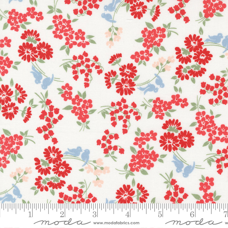 Dwell Songbird Cream Red