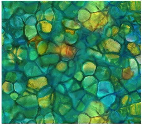 Creation Green BUBBLE TEXTURE DP25023-74
