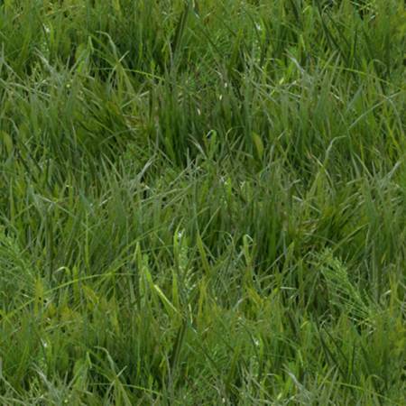 Landscape - Green Grass