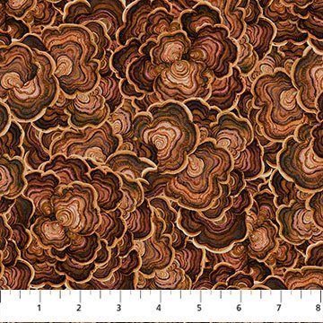 Wild Harvest - Rust Turkey Tail