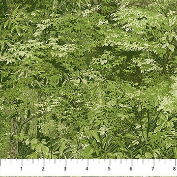 Bear's Den - Medium Green Packed Trees
