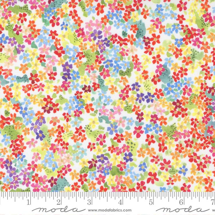 Eufloria Rainbow 39746 11