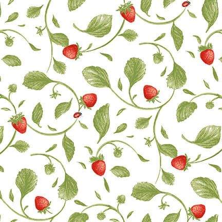 Strawberry Garden 505-68 Multi ||