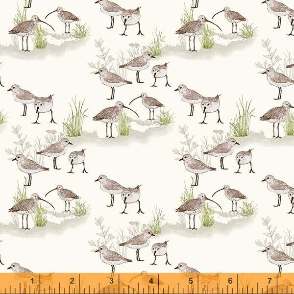 Sea and Shore - Curlew