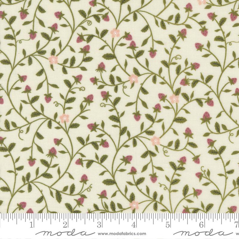 Evermore - Lace 43151 11
