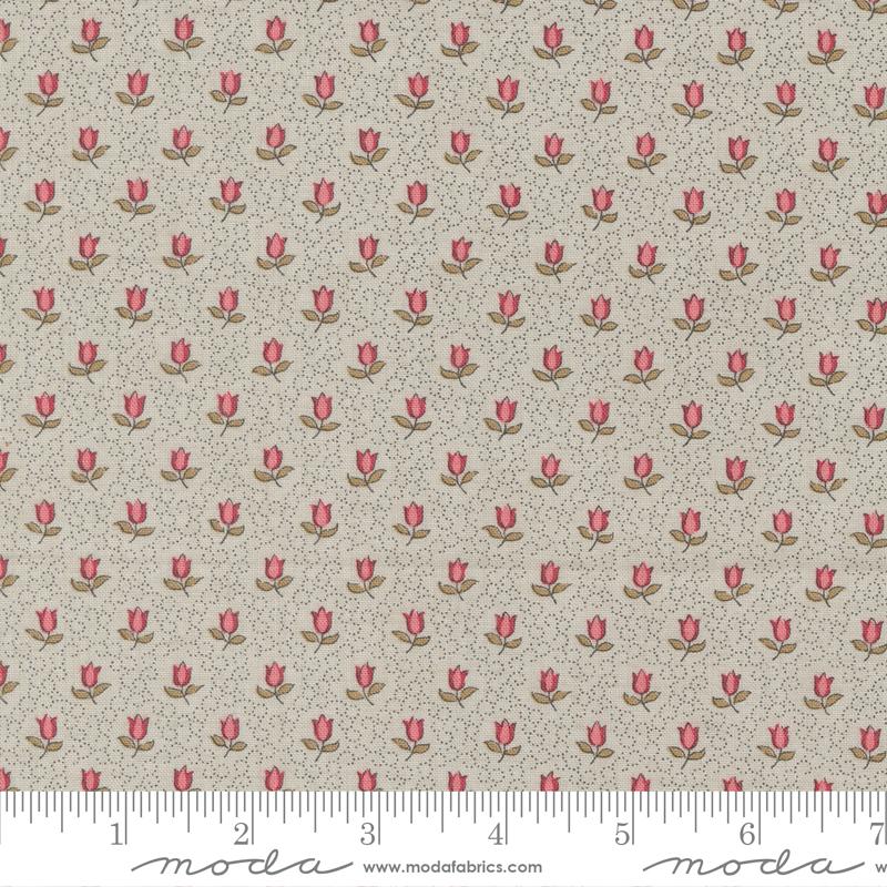 Antoinette - Smoke 13955 13