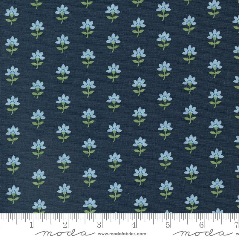 Shoreline - Navy Coastal Florals
