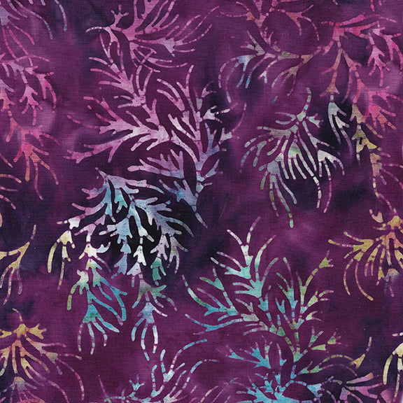 Exuberance - Fronds/Purple Pansy