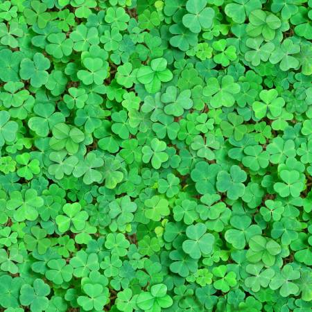 Landscape - Green Clover/Shamrock