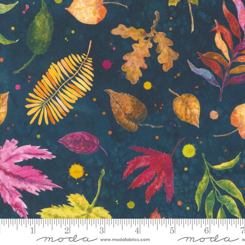 Floribunda Midnight 39804 12 Moda #1