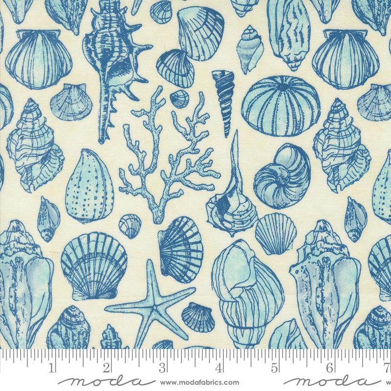 Serena Shores - Sketchy Shells Novelty Shells in Cloud