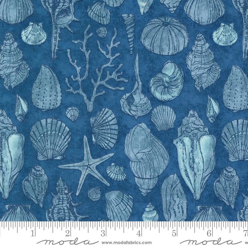 Serena Shores - Sketchy Shells Novelty Shells in Coastal