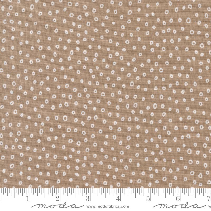 Botany - Seeds Dots Earth