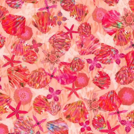Oceanica - Shells Coral