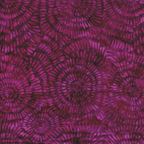 Dandelion-Plum
