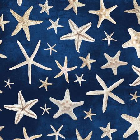 Beach Dreams - Navy Starfish