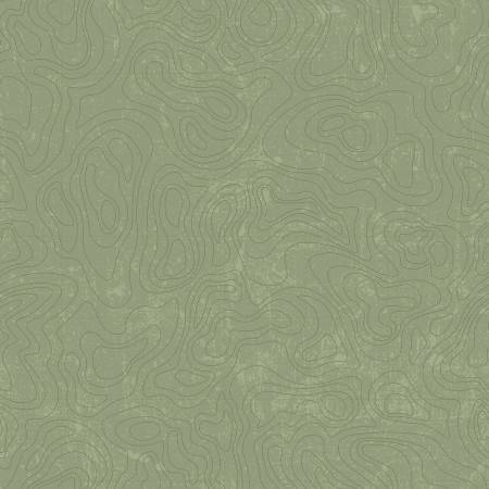 National Parks - Topographic Green