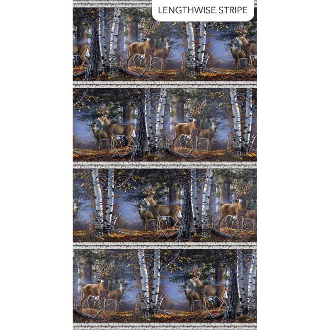 Naturescapes First Light - Border Stripe