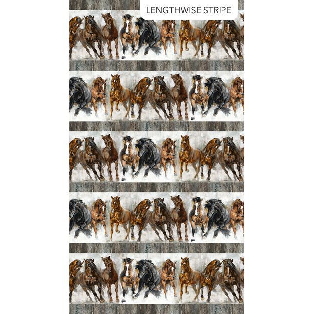 Stallion - Grey Multi Border Stripe