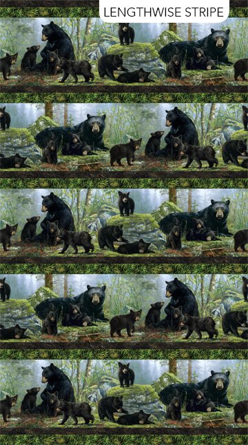 Bear's Den - Black Multi Border Stripe