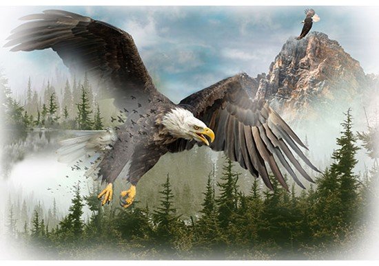 Call of the Wild Eagle Panel