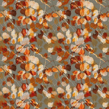 Reflections of Autumn - 12RA 1