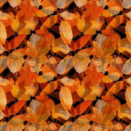 Reflections of Autumn - 5RA 1