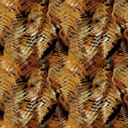 Reflections of Autumn 8RA 1