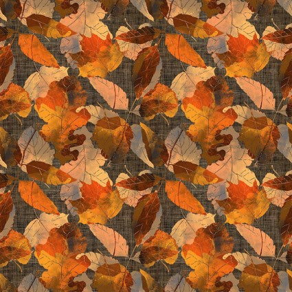 Reflections of Autumn 9RA 1