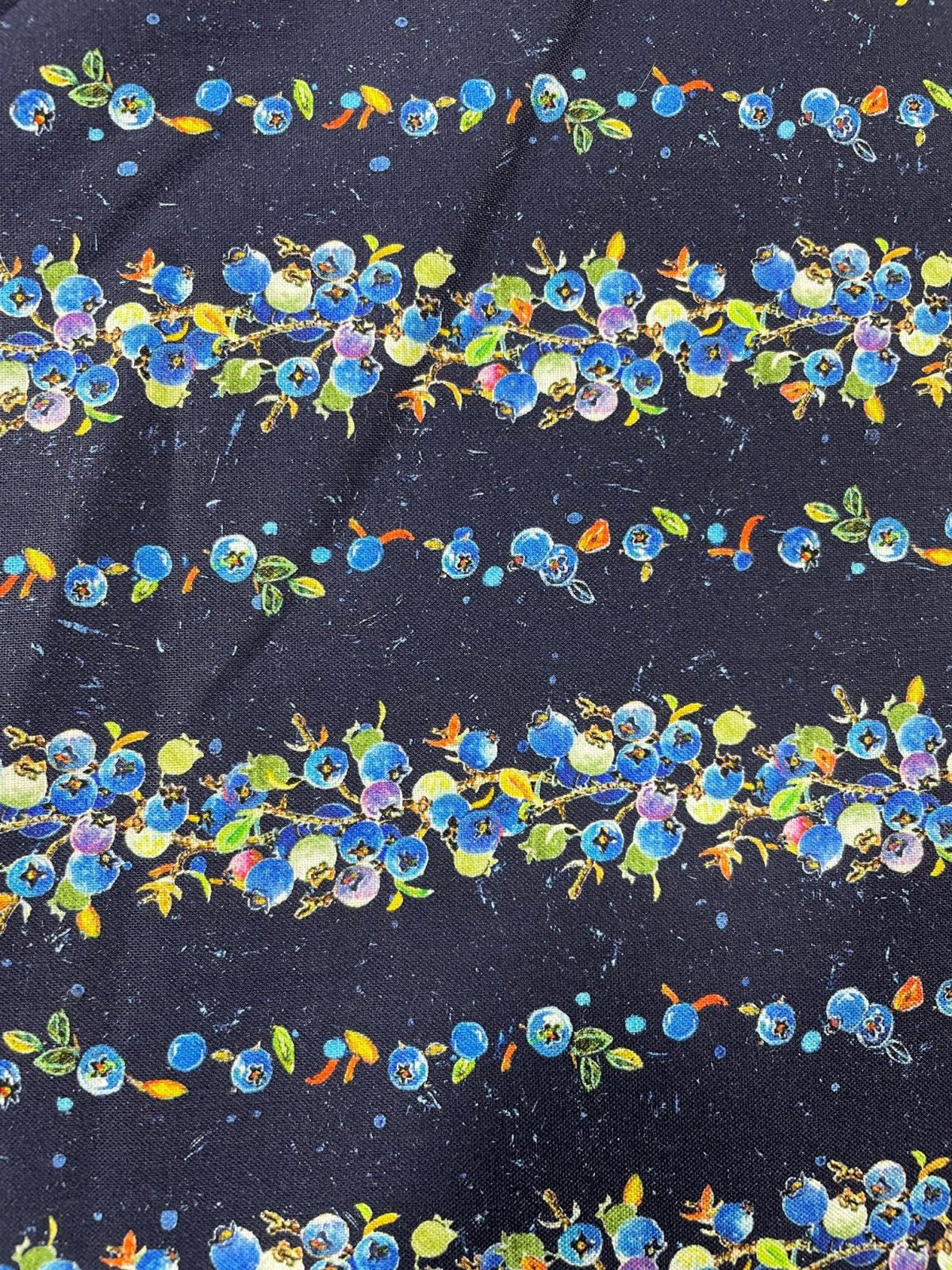 Bountiful Blueberries Stripe 04516 CO: DB
