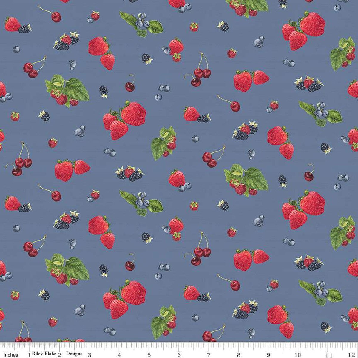 June Placemat Kit (Riley Blake Designs)