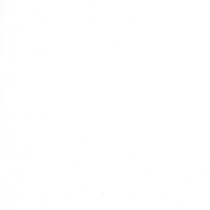 Crackle White On White 5746 110 Moda #1