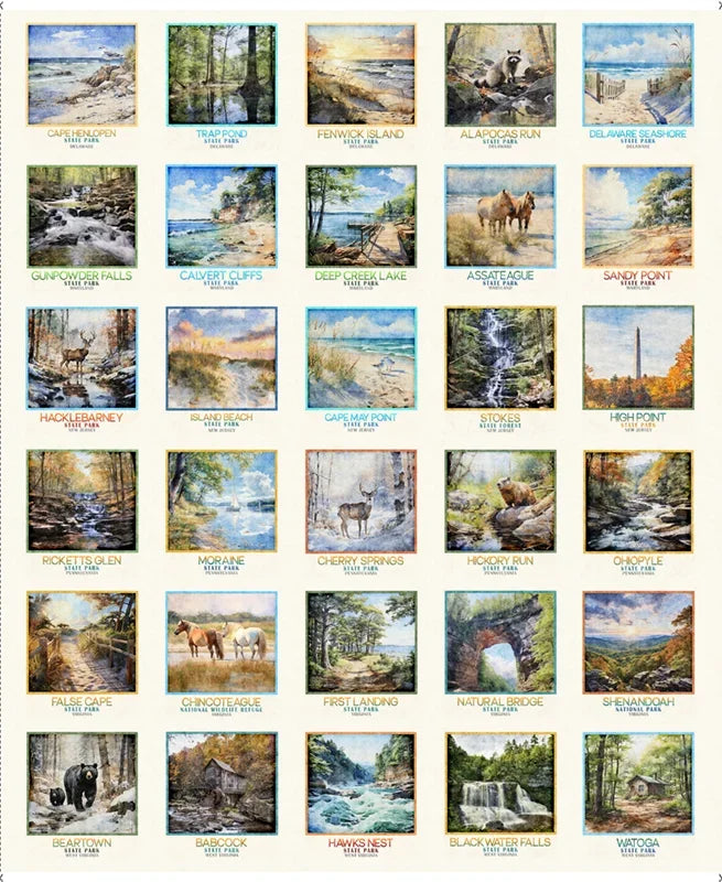 All Mid Atlantic Shop Hop 2026 - Mid Atlantic Picture Patches Multi