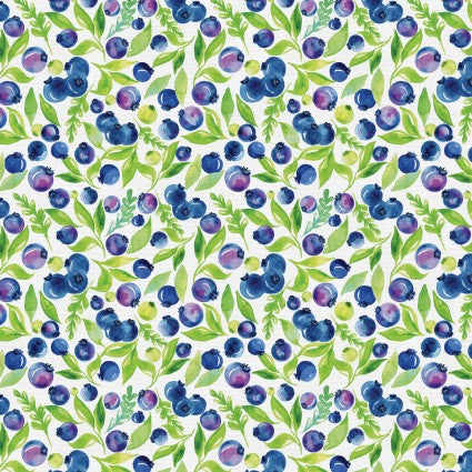 Sweet & Sour - Blueberries