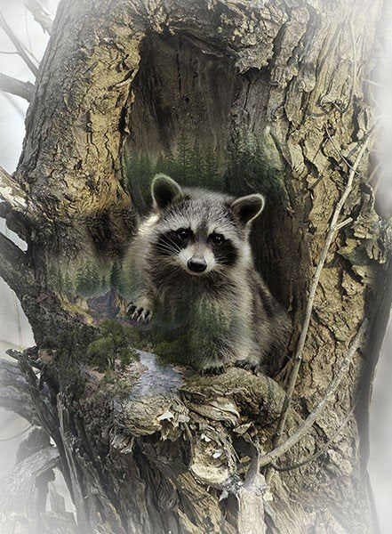 Call of the Wild Raccoon Panel