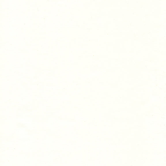 White / White - Bodacious Blacks by Island Batik