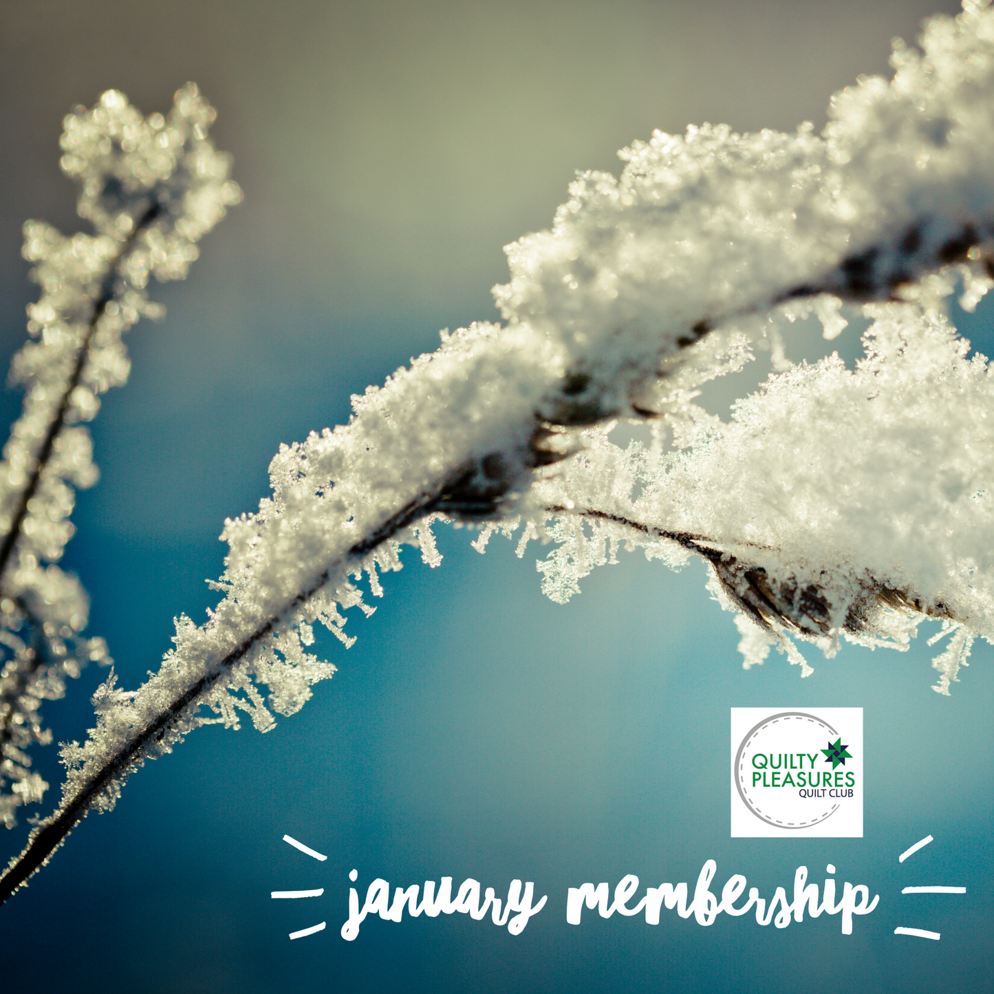 Quilty Pleasures Renew January Membership Fee