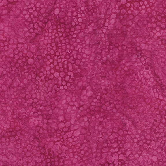 Peacock Plumes -  Rock-Fuchsia