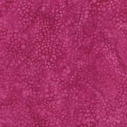 Peacock Plumes -  Rock-Fuchsia